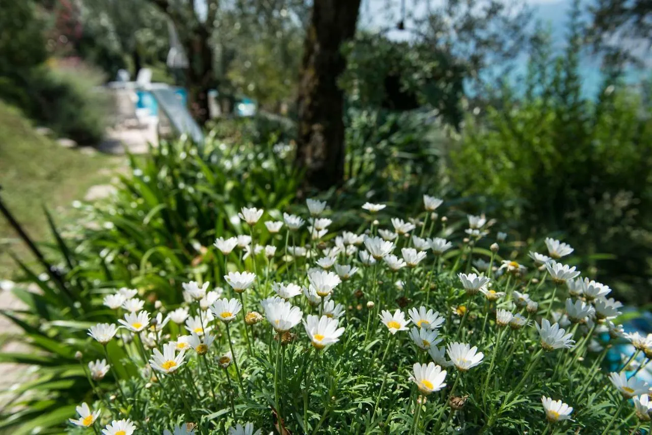 Villa Malcesine Apartment